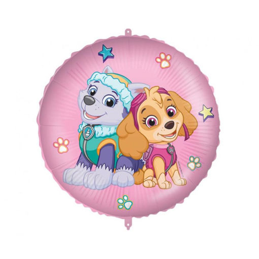 Picture of PAW PATROL SKYE AND EVEREST FOIL BALLOON 18 INCH